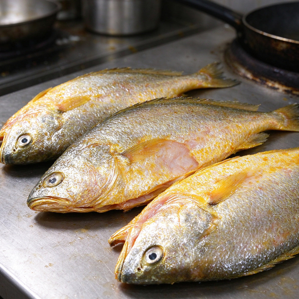 Fresh Golden Yellow Croaker